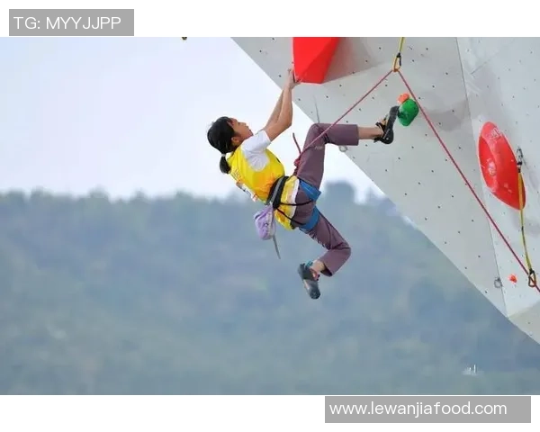 西安攀岩队的奋斗历程与成长故事全景纪实